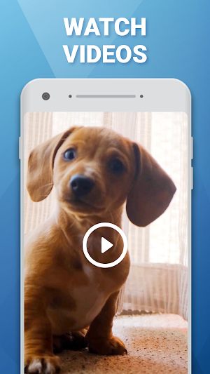 Video Puzzle: Picture art Screenshot 2