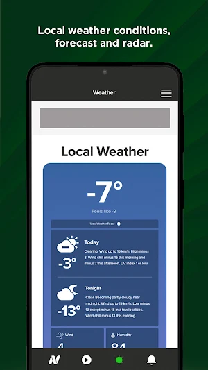 NivervilleOnline Screenshot 3