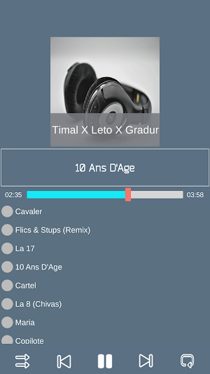 Timal Solide Screenshot 1