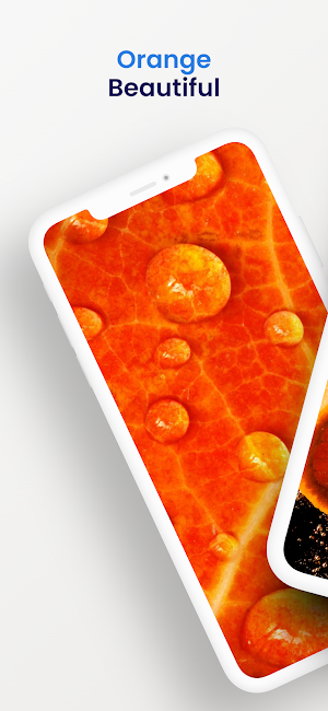 Orange wallpapers hd Screenshot 0