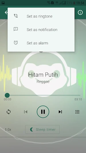Lagu Reggae Offline Screenshot 3