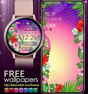 Flamingo Summer Screenshot 2