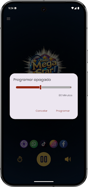 Radio Mega Star - Paraguay Screenshot 3