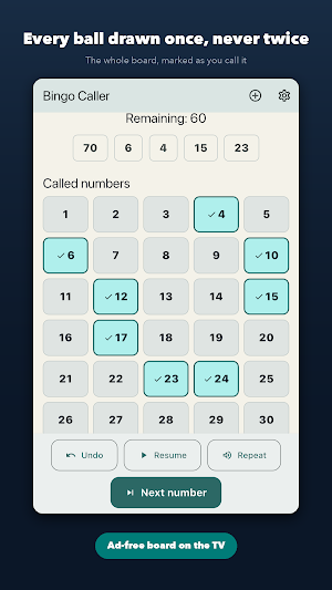 Bingo Caller: 75 & 90 Ball Screenshot 1