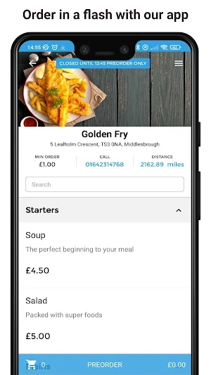 Golden Fry Screenshot 1