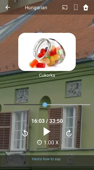 Learn Hungarian. Speak Hungarian. Study Hungarian. Screenshot 2