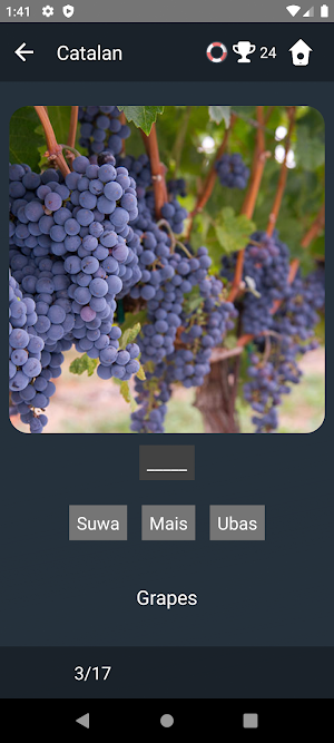 Catalan Language Tests Screenshot 3