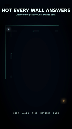 Echo — Game Played in Dark Screenshot 1