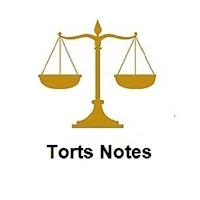 Torts Notes