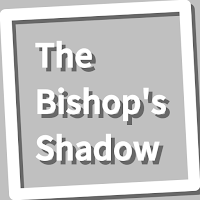 Book, The Bishop's Shadow
