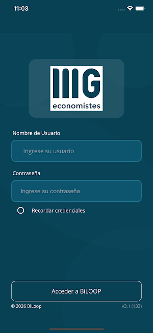 MG Economistes Screenshot 0