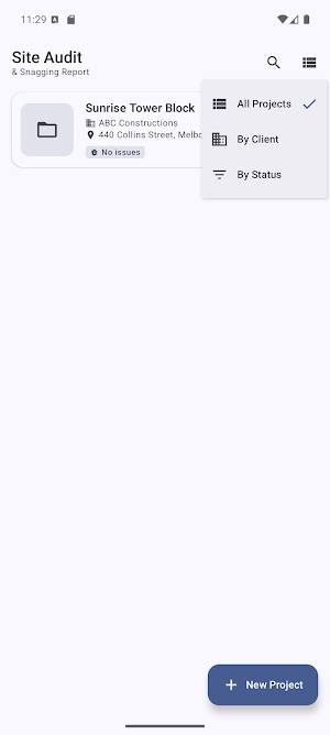 Site Audit & Snagging Report Screenshot 2
