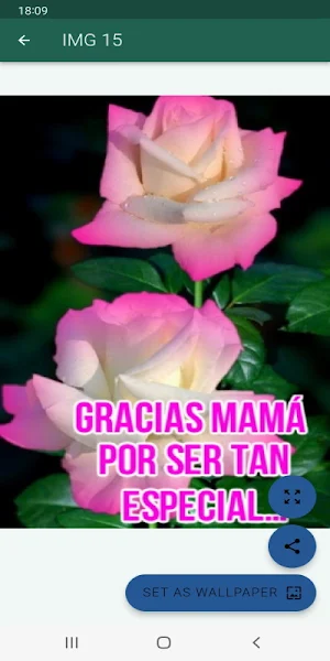 Poemas y Rosas Día de la MADRE Screenshot 3