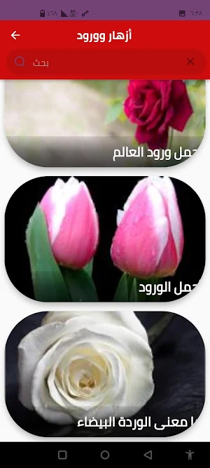 أزهار وورود Screenshot 0