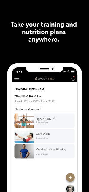 Brooktree Consulting Screenshot 2