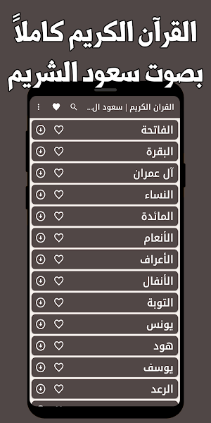 قران كامل سعود الشريم بدون نت Screenshot 0