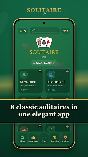 solitaire.pit · Solitaire Screenshot 0