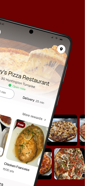 Vinnies Pizza Screenshot 1