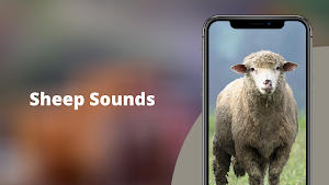 Sheep Sounds Screenshot 0