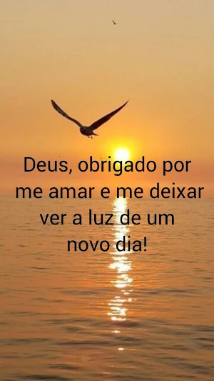 Frases de Gratidão a Deus Screenshot 1