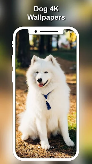 Dog Wallpapers & Puppy Backgro Screenshot 1