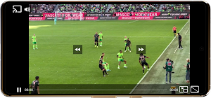 All World TV Garden Player Screenshot 1