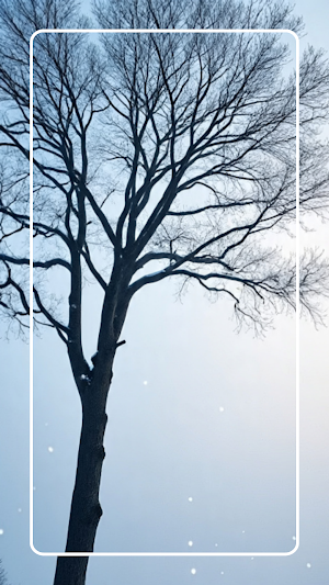 Winter Wallpaper 4K Screenshot 3