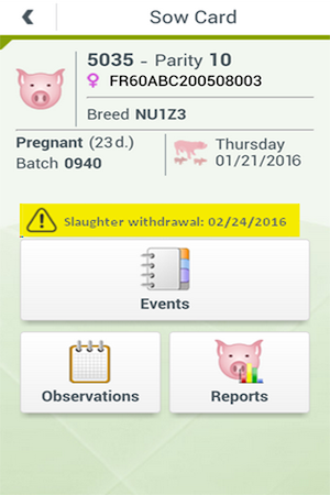 Swine Herd Management Screenshot 3
