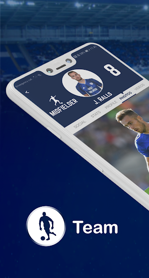 CityBluebirds Screenshot 0