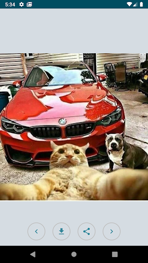 The most beautiful BMW pictures without internet Screenshot 0