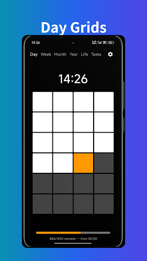 Time Grids Through Grids Screenshot 1