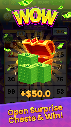 Bingo Bankroll Screenshot 2