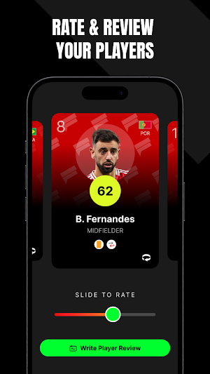 Fanalysis Screenshot 1