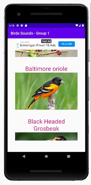 Birds Sounds - Group 1 Screenshot 1
