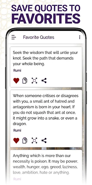 Rumi Quotes - Daily Motivation Screenshot 3