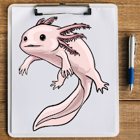 How to Draw Axolotl Easy