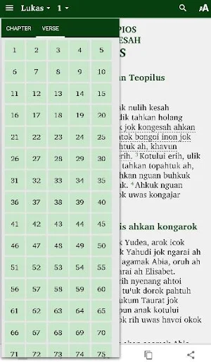 Alkitab Uud Danum Screenshot 2