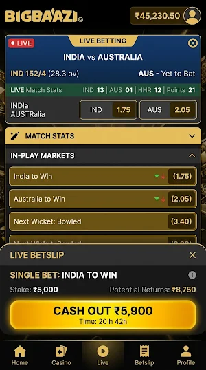 Big Baazi Casino Screenshot 2