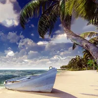 Seashore Palms Live Wallpaper