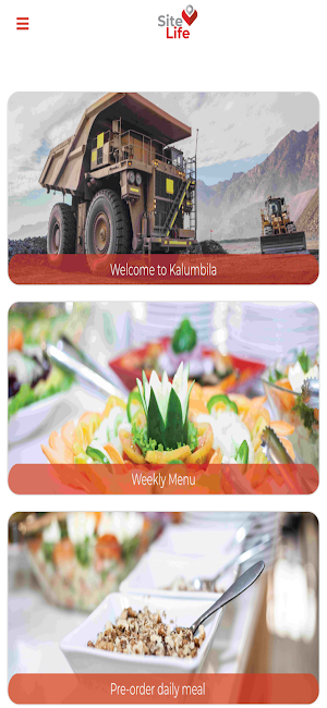Site Life Screenshot 1
