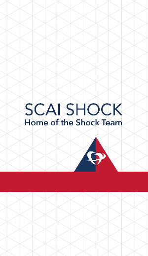 SCAI SHOCK 2024 Screenshot 0