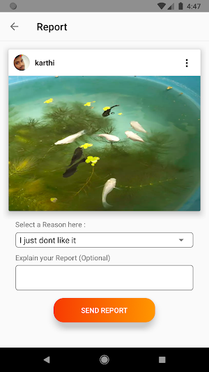 Fishta Screenshot 3