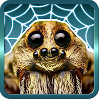 Spider Gagambattle!