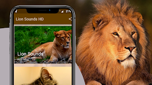 Lion Sounds - Real Lion Roar Screenshot 0