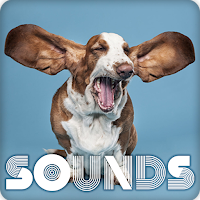Dog Barking Sound Ringtones
