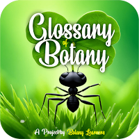 Glossary of Botany