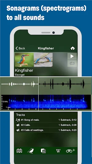 BIRD SONGS Europe, North Africa + Middle East Screenshot 2