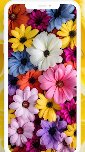 Summer Nature Wallpapers HD Screenshot 2