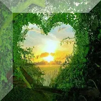 Love Images of nature