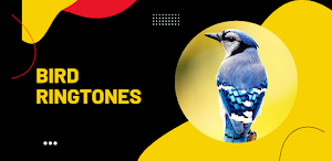 bird ringtones - Birds Sound Screenshot 2